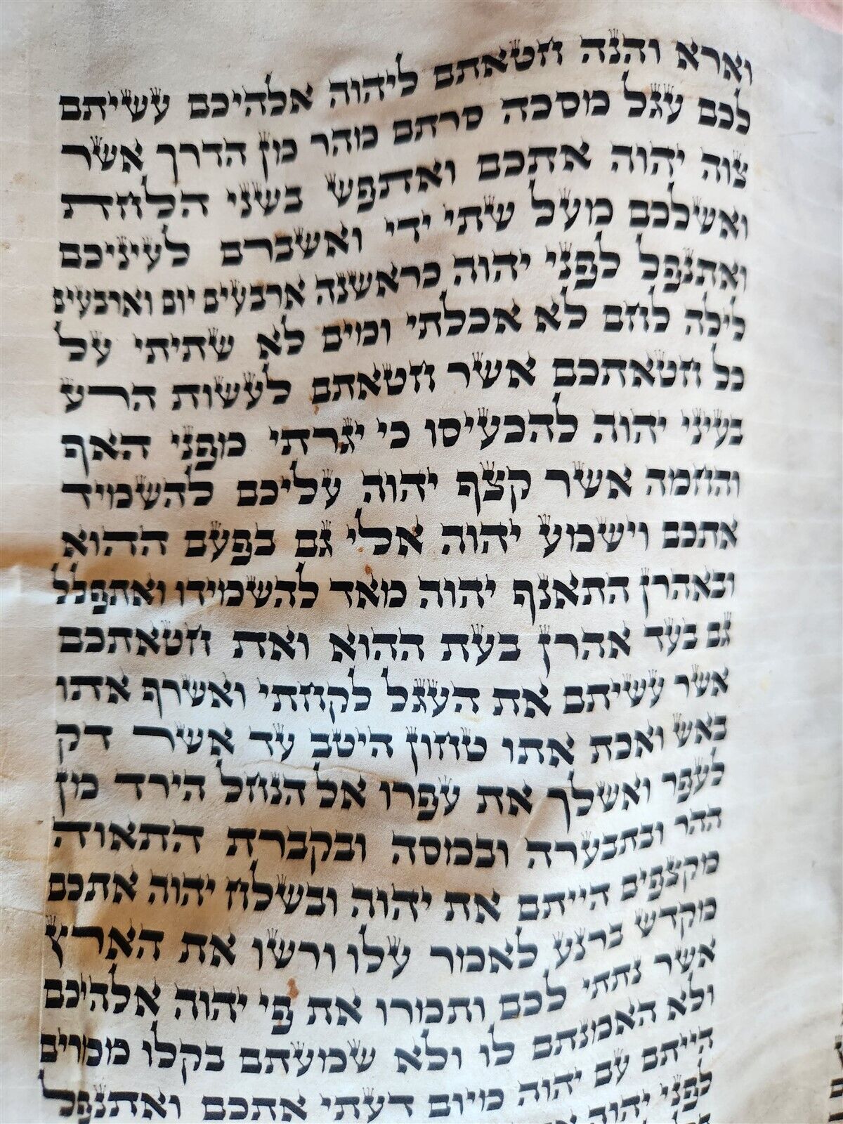 TORAH SCROLL FRAGMENT MANUSCRIPT on VELLUM antique BIBLE DEUTERONOMY 7:27-11:13