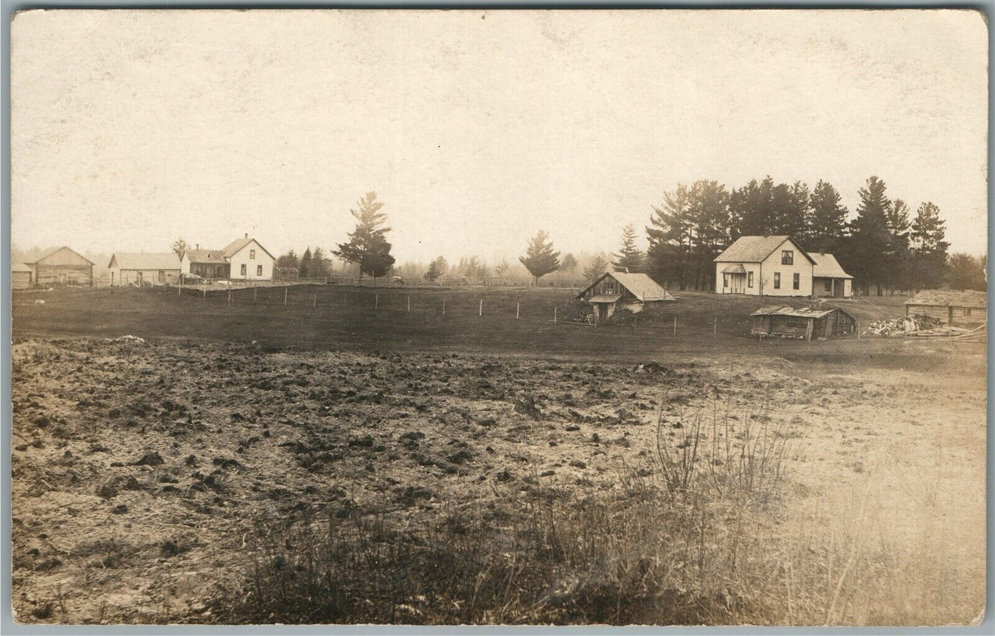 BLACKBERRY MN FARM ANTIQUE REAL PHOTO POSTCARD RPPC