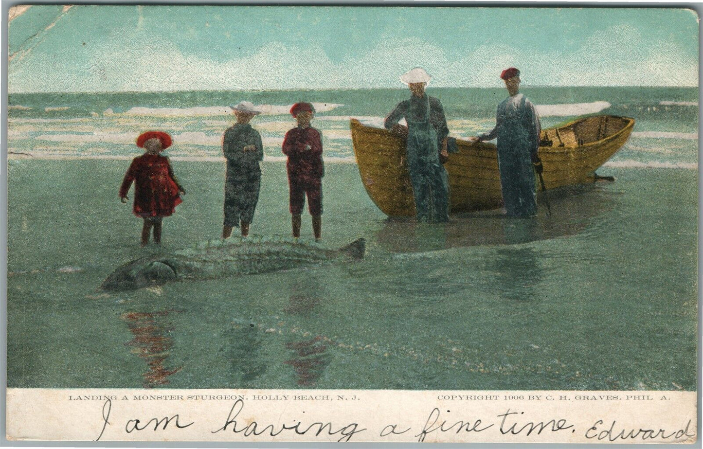 HOLLY BEACH NJ LANDING A MONSTER STURGEON ANTIQUE POSTCARD