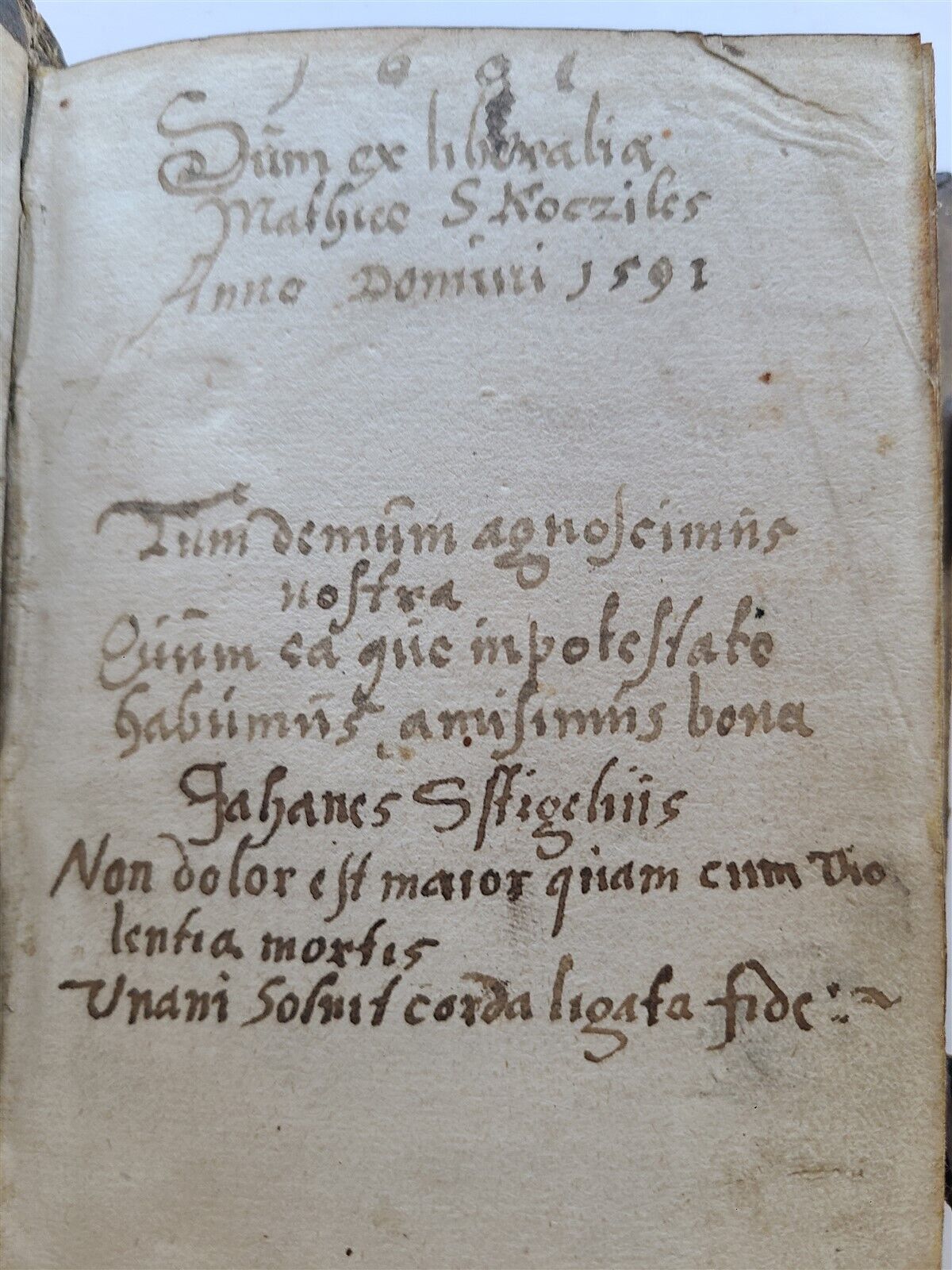 1575 APOCALYPSE COMMENTARY by D. Chytraeus ILLUSTRATED antique pigskin BINDING