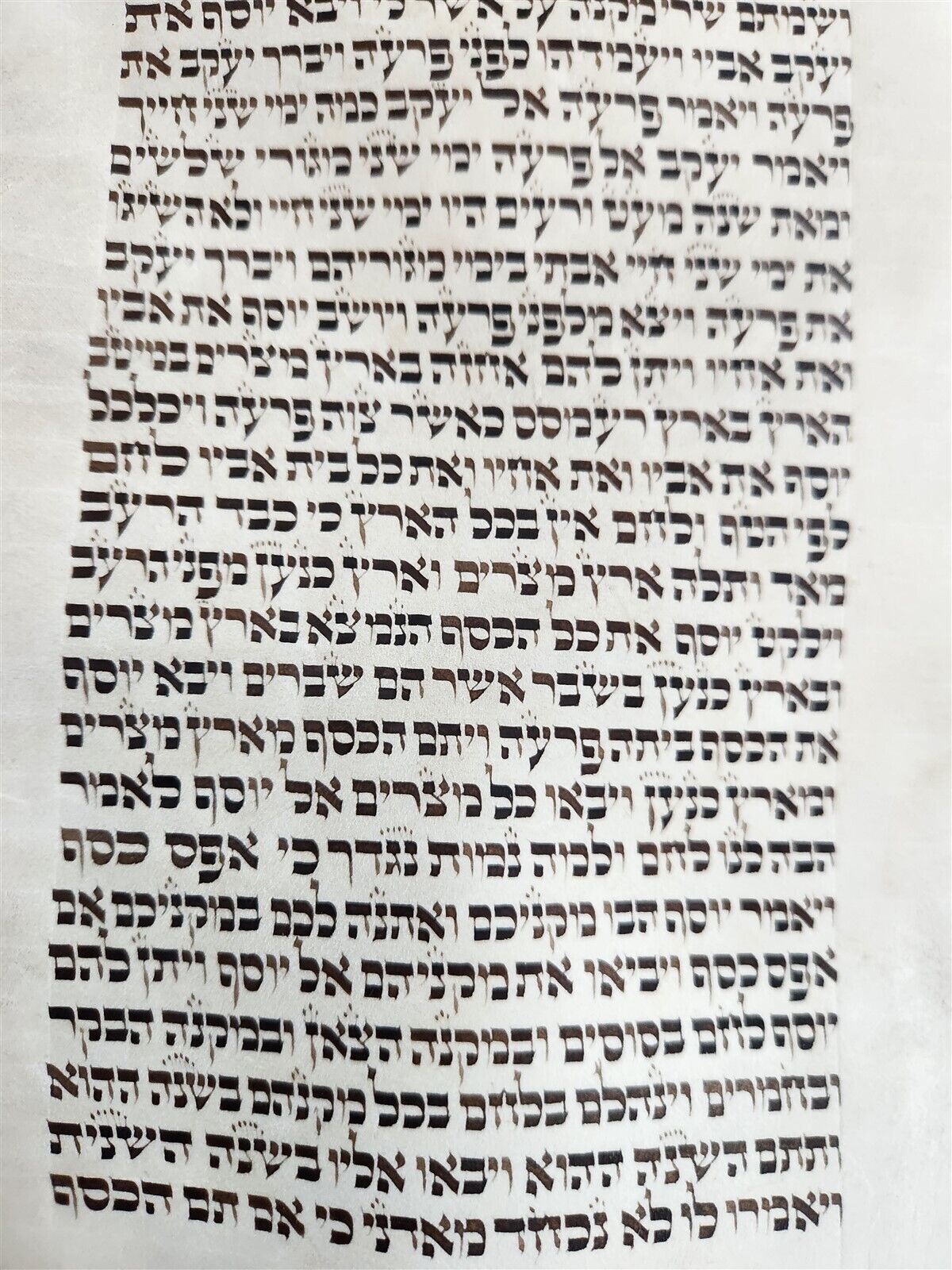 TORAH SCROLL FRAGMENT MANUSCRIPT on VELLUM antique BIBLE GENESIS 43:23 - 48:7