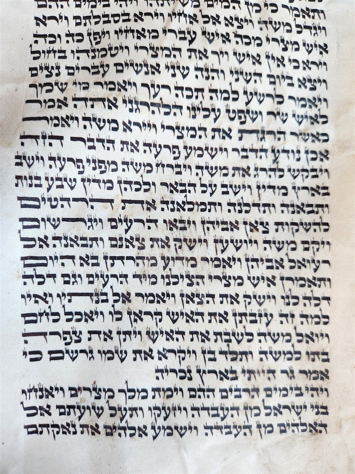 TORAH SCROLL FRAGMENT MANUSCRIPT on VELLUM antique BIBLE EXODUS