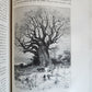 1885 AFRICA EXPLORATION VOYAGE SOUDAN FRANCAIS Haut-Niger antique ILLUSTRATED