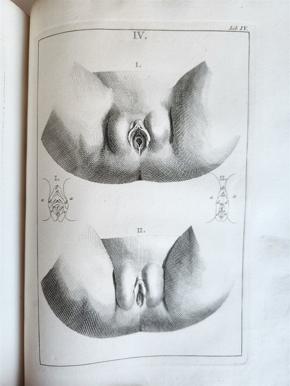 1754 ANATOMY DENTISTRY BOTANY antique ILLUSTRATED Continet anatomica physiology