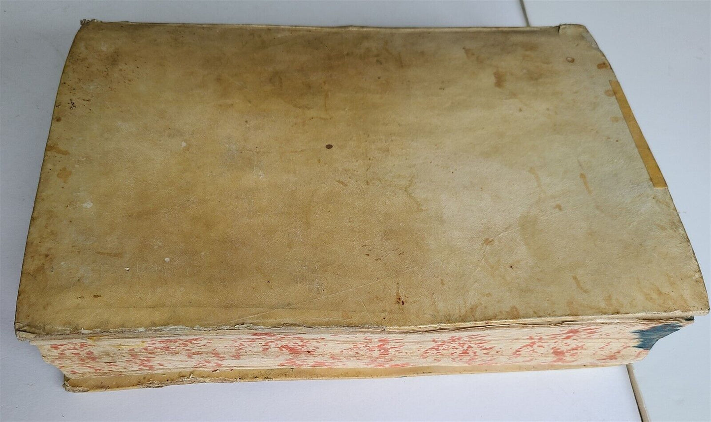 1585 LATIN DICTIONARY by AMBROSII CALEPINI DICTIONARUM antique VELLUM FOLIO