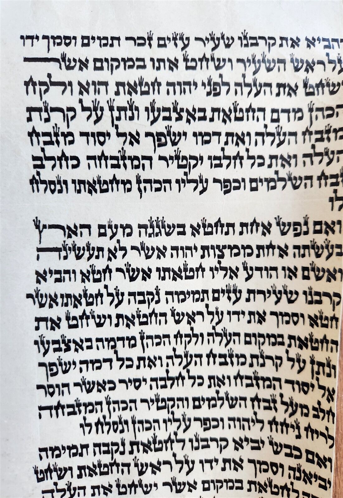 TORAH SCROLL FRAGMENT MANUSCRIPT on VELLUM antique BIBLE LEVITICUS 4:23 - 6:2