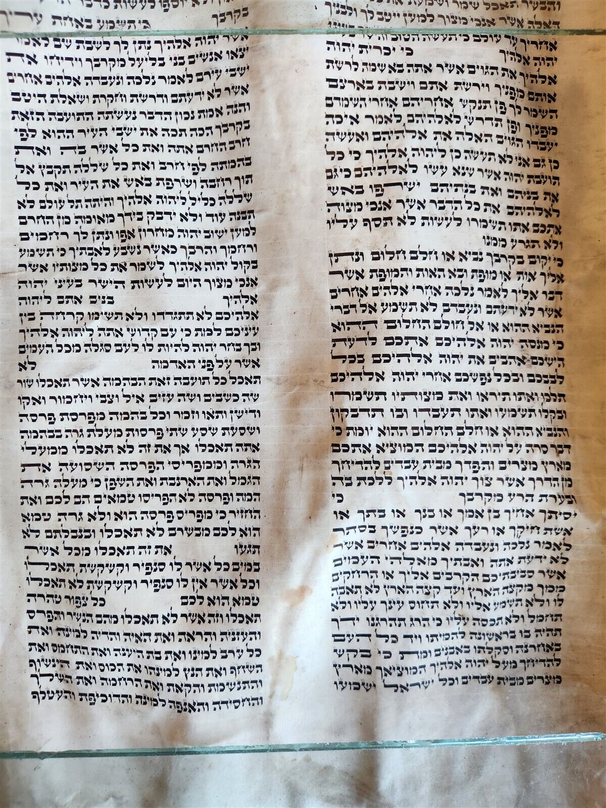 TORAH SCROLL FRAGMENT MANUSCRIPT on VELLUM antique BIBLE DEUTERONOMY 12:9-15:9