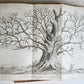 1801 SILVA: DISCOURSE OF FOREST TREES 2 VOLUMES ILLUSTRATED antique in ENGLISH