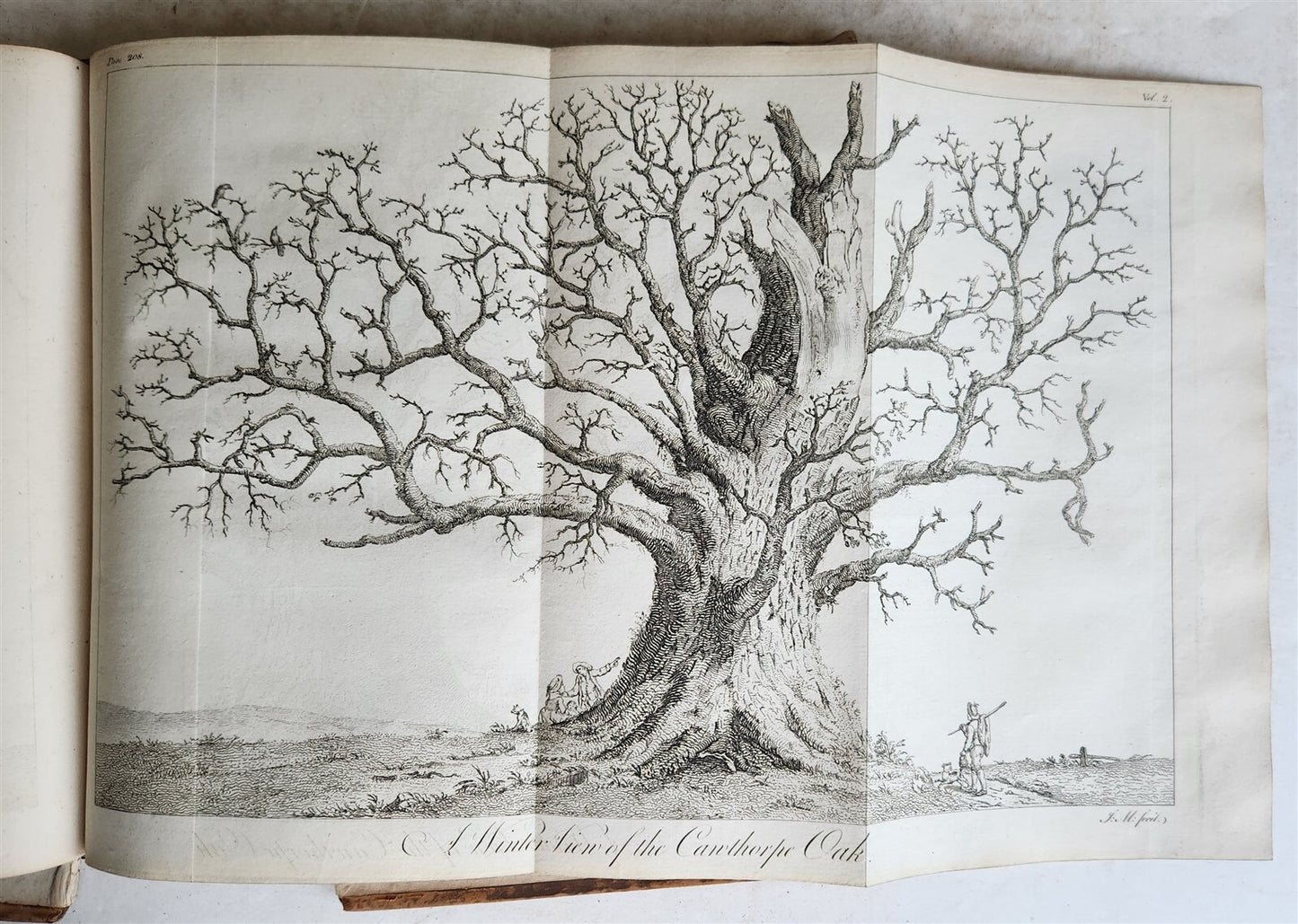 1801 SILVA: DISCOURSE OF FOREST TREES 2 VOLUMES ILLUSTRATED antique in ENGLISH
