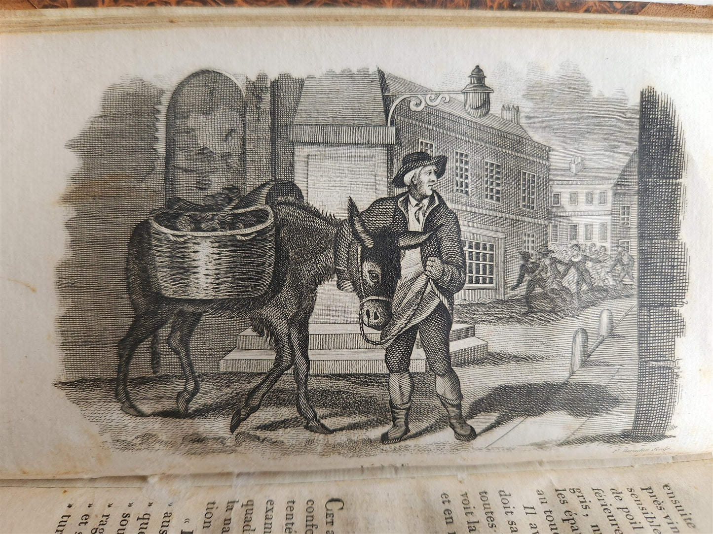 1818 HISTORY of ANIMALS ILLUSTRATED w/ 65 PLATES antique 6 VOLUMES