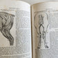 1843 THE HORSE by WILLIAM YOUATT antique ILLUSTRATED