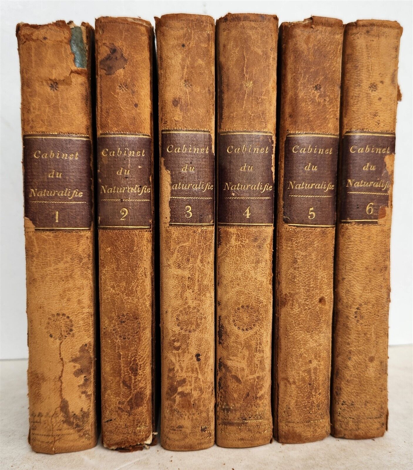 1818 HISTORY of ANIMALS ILLUSTRATED w/ 65 PLATES antique 6 VOLUMES