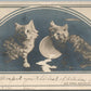 TWO CUTE KITTENS ANTIQUE REAL PHOTO POSTCARD RPPC