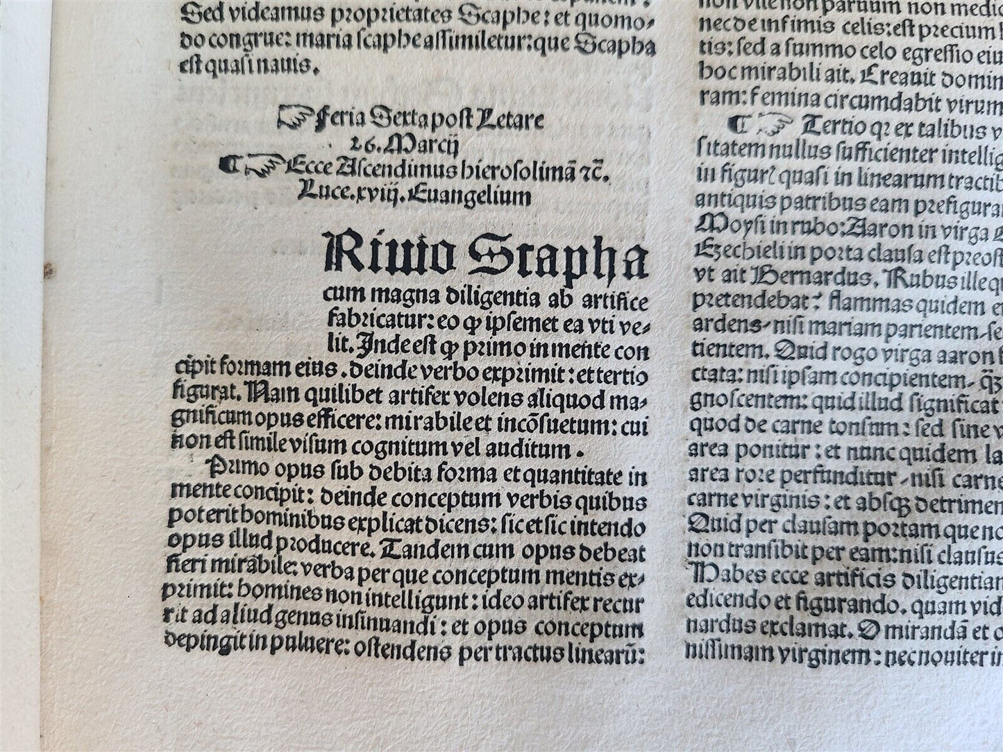 1511 POST-INCUNABULA Navicula penitentie antique ORIGINAL BINDING FIRST EDITION