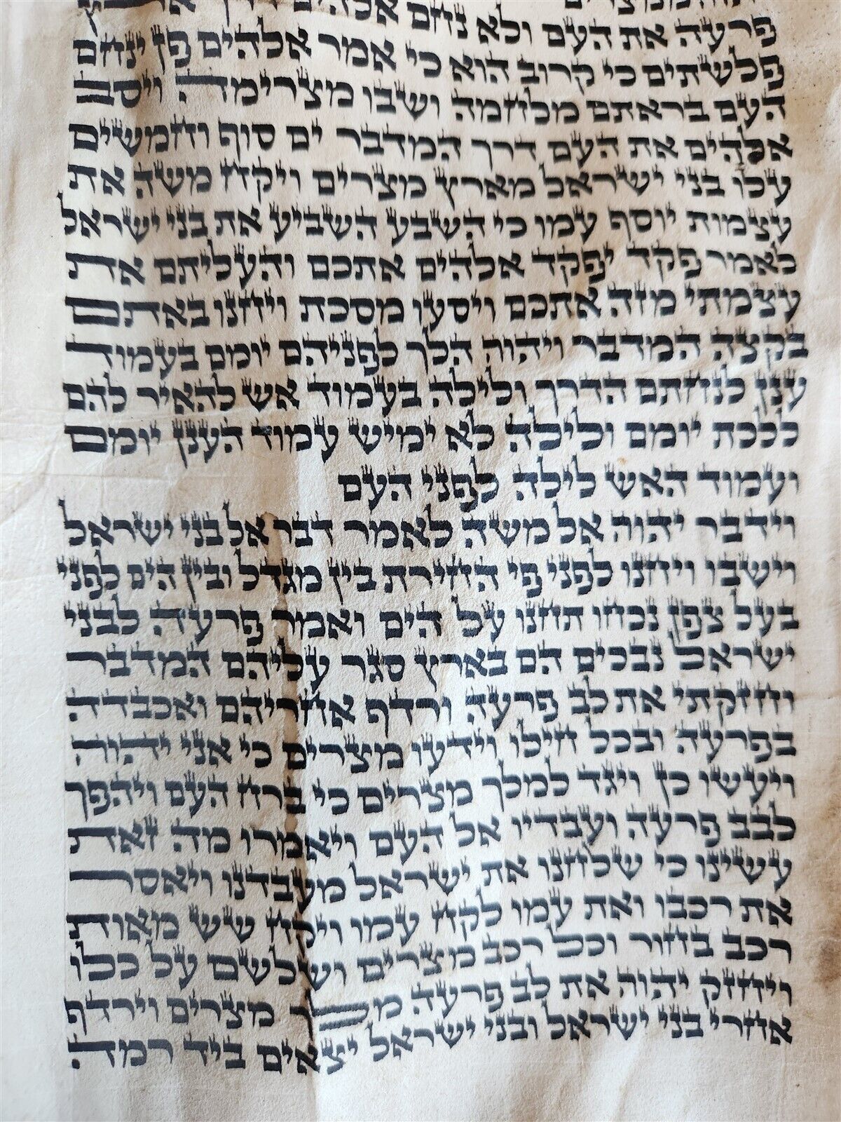 TORAH SCROLL FRAGMENT MANUSCRIPT on VELLUM antique BIBLE EXODUS