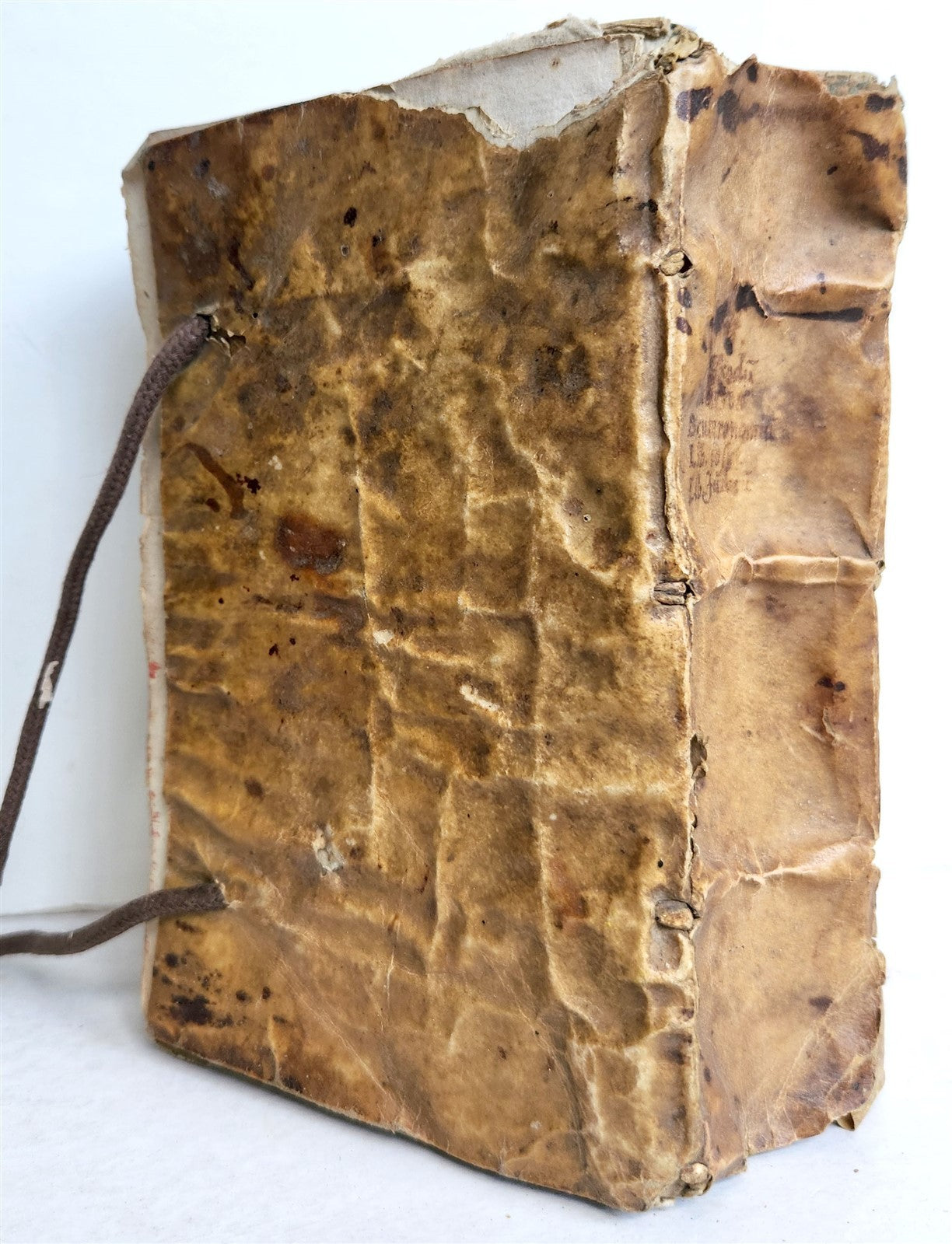 1571 BIBLE OLD TESTAMENT COMMENTARIES ANTIQUE 16th CENTURY vellum binding