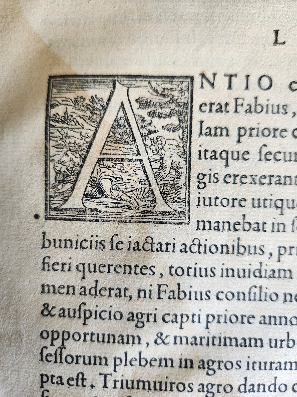 1555 ALDINE PRESS ROMAN HISTORY by TITUS LIVIUS ANTIQUE 16th CENTURY FOLIO Aldus
