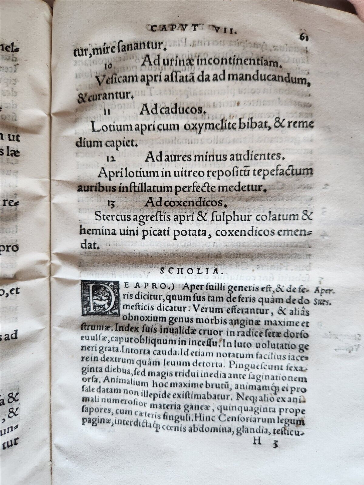 1539 PLATONIC PHILOSOPHY on MEDICINE of BEASTS CATTLE & BIRDS antique 16th CENT.