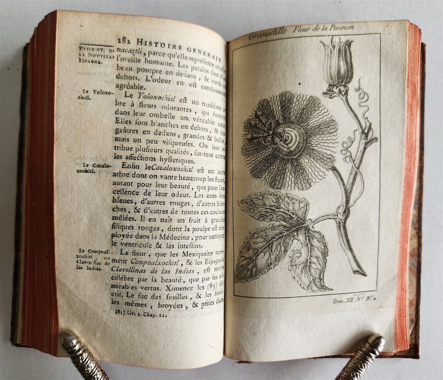 1754 HISTOIRE des VOYAGES illustrated MEXICO TRAVELS vol. 48 antique