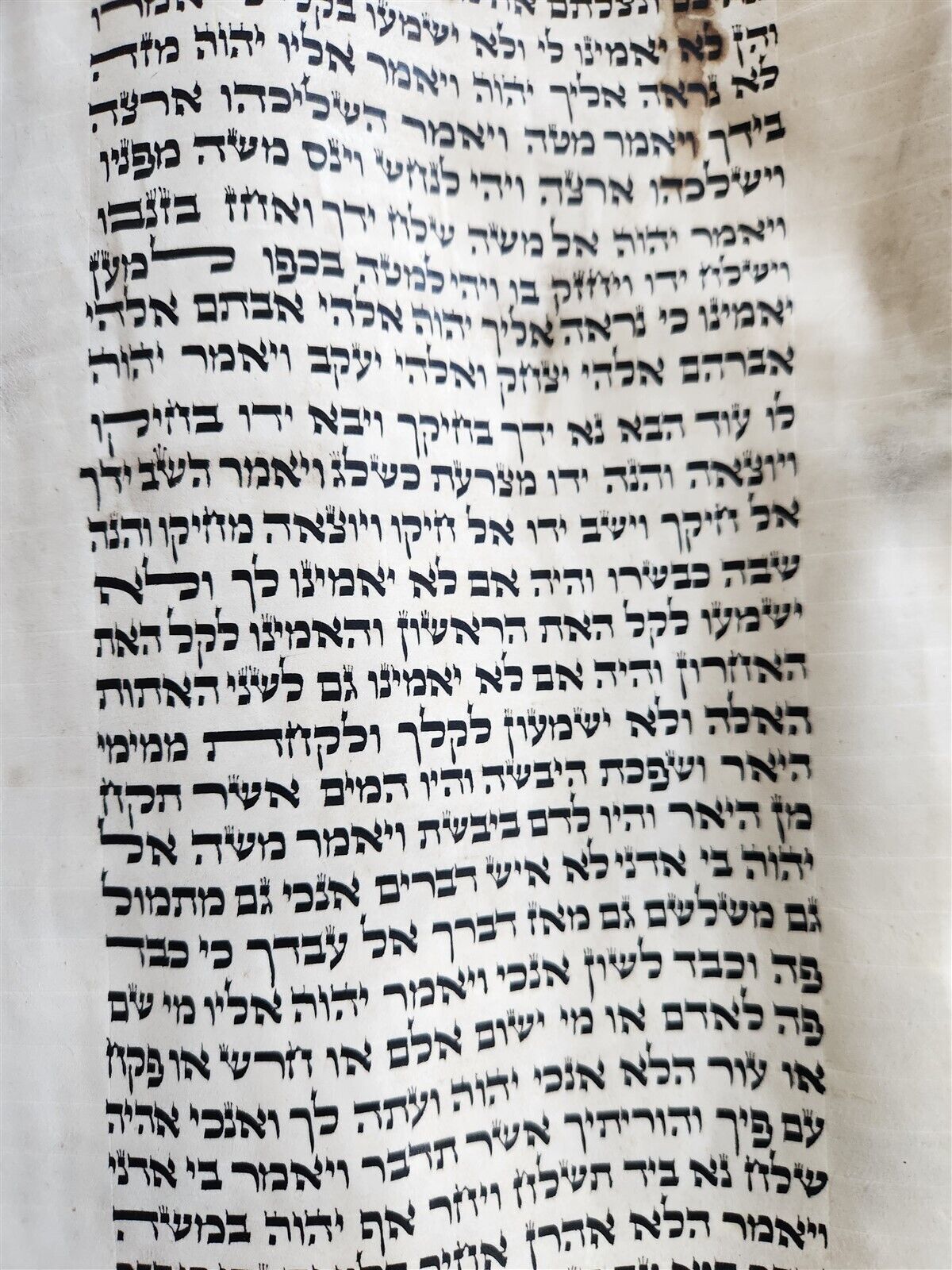 TORAH SCROLL FRAGMENT MANUSCRIPT on VELLUM antique BIBLE EXODUS 2:1 - 6:7