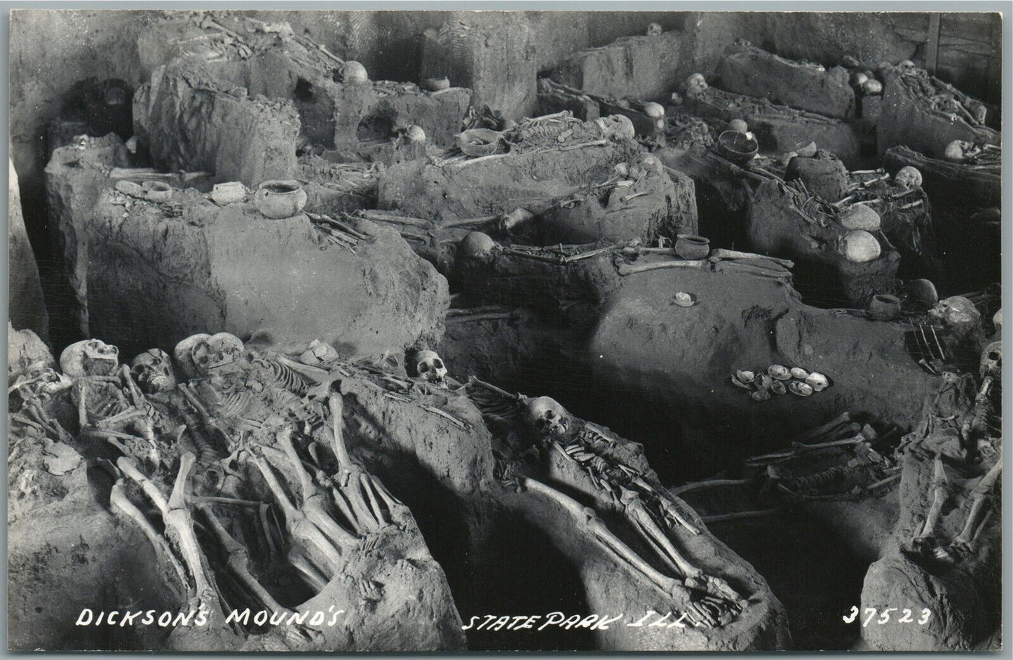 DICKSON MOUND'S STATE PARK skeletons VINTAGE REAL PHOTO POSTCARD RPPC