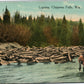 CHIPPEWA FALLS WI LOGGING ANTIQUE POSTCARD