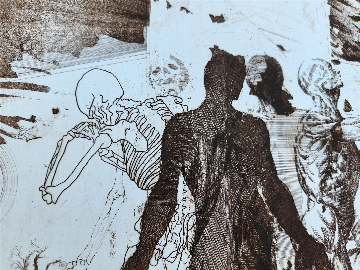 THE CREATION OF THE HUMAN RACE surreal PRINT vintage w/ SKELETON