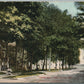 FONT DU LAC WI FOREST STREET ANTIQUE POSTCARD
