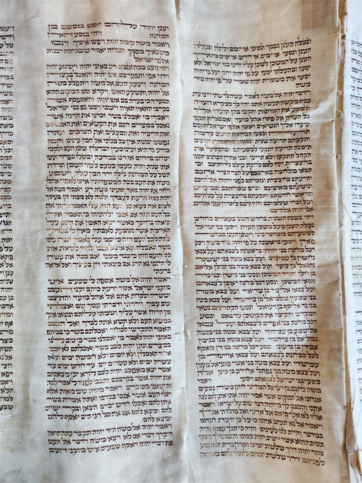 TORAH SCROLL FRAGMENT MANUSCRIPT on VELLUM antique BIBLE NUMBERS 4:39-15:16