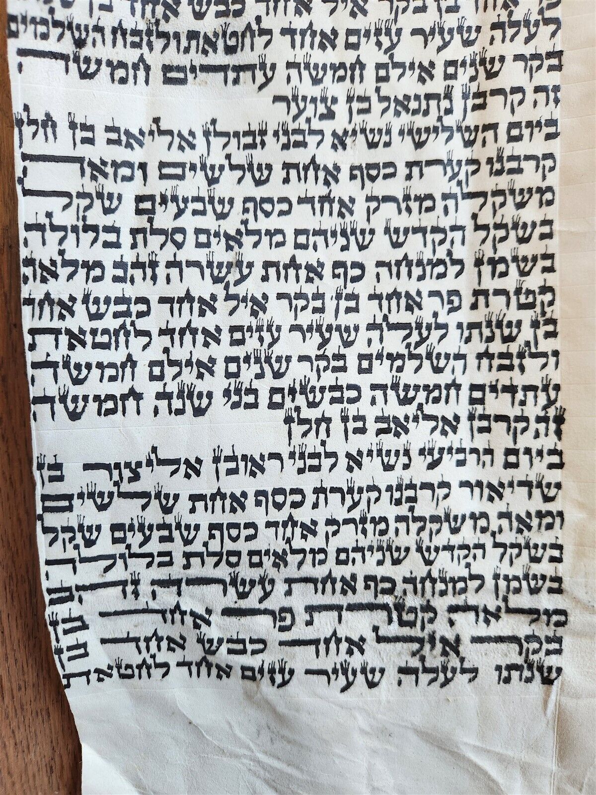 TORAH SCROLL FRAGMENT MANUSCRIPT on VELLUM antique BIBLE BOOK OF NUMBERS 7:10-16