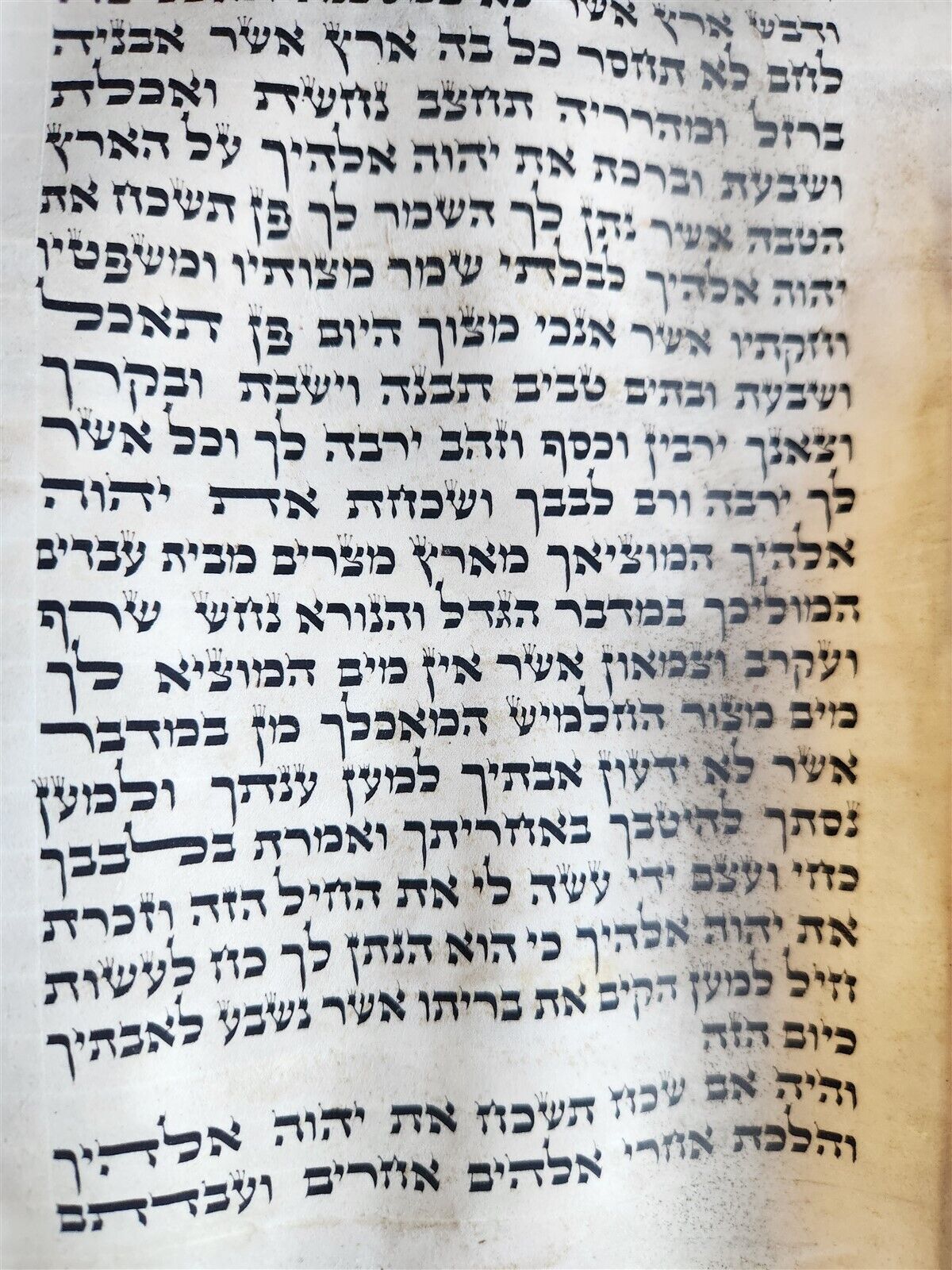 TORAH SCROLL FRAGMENT MANUSCRIPT on VELLUM antique BIBLE DEUTERONOMY 7:27-11:13