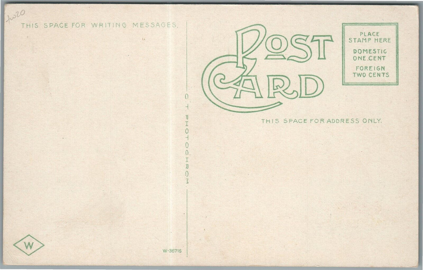 WILLIMANTIC CT CAMP GROUND ANTIQUE POSTCARD