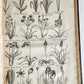 1756 BRITISH HERBAL J.HILL antique ILLUSTRATED FOLIO HISTORY OF PLANTS & TREES
