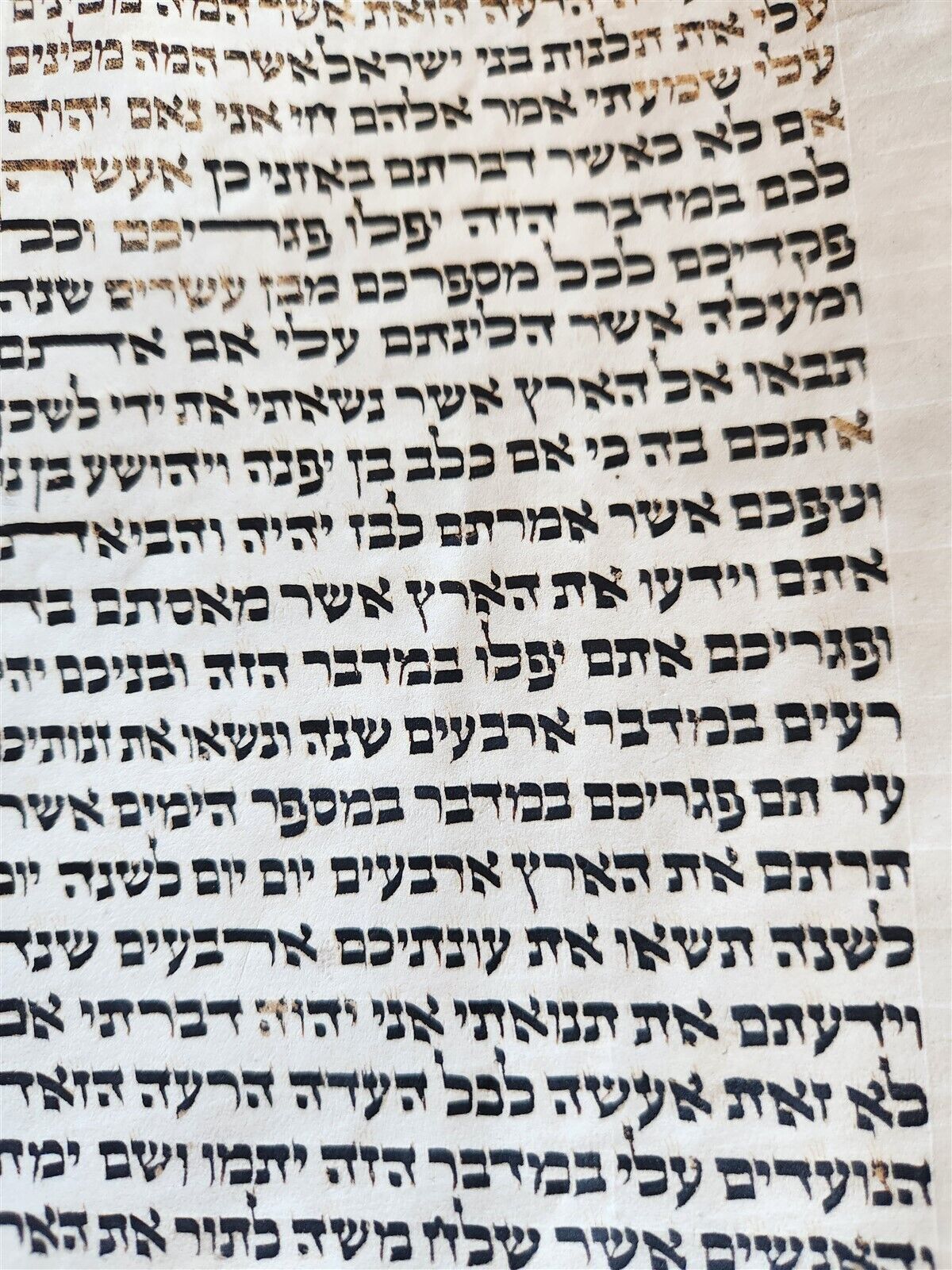 TORAH SCROLL FRAGMENT MANUSCRIPT on VELLUM antique BIBLE NUMBERS 4:39-15:16