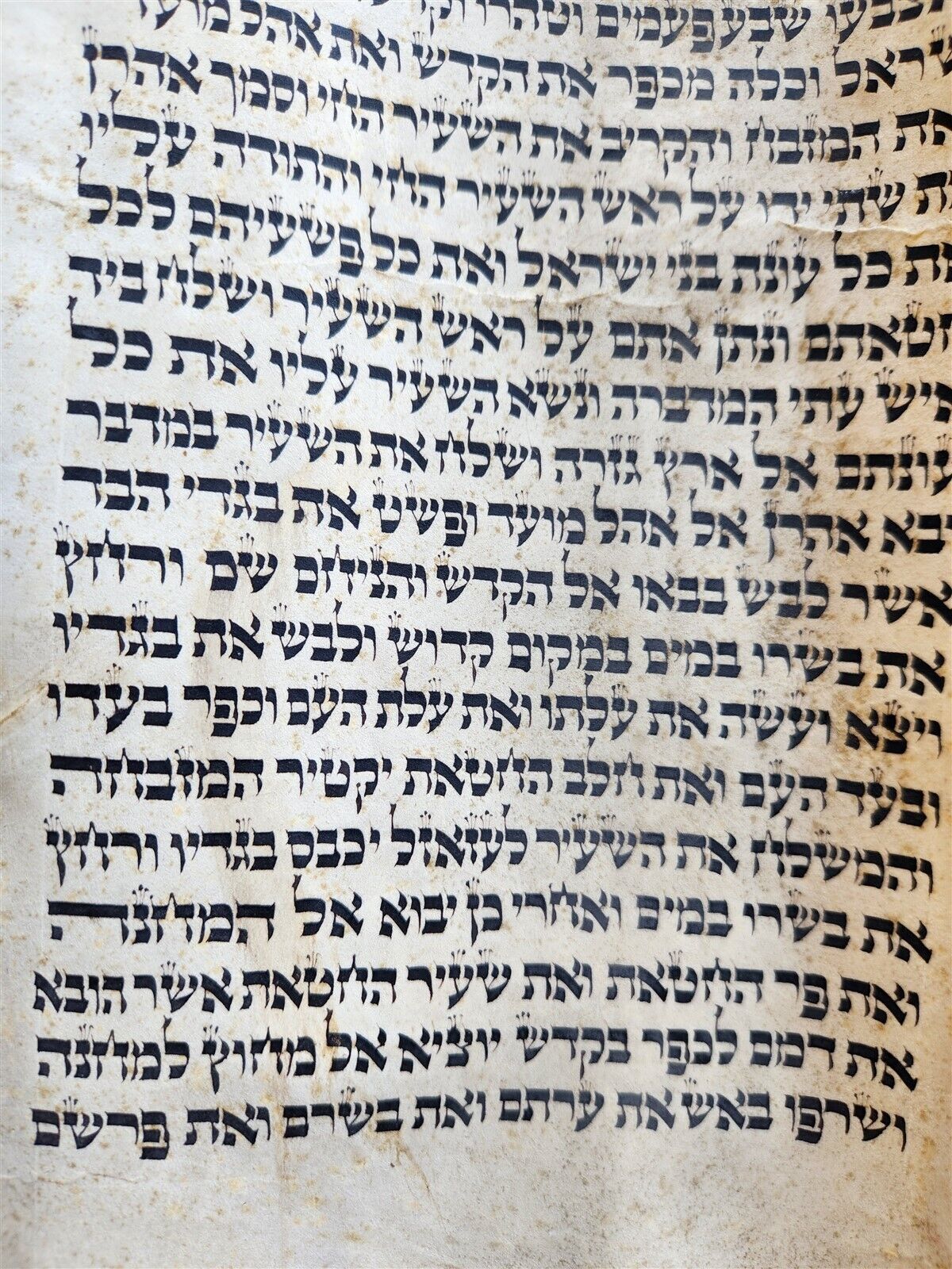 TORAH SCROLL LARGE FRAGMENT MANUSCRIPT on VELLUM antique BIBLE w/ MANTLE