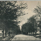 ASHLAND OH CENTER STREET ANTIQUE POSTCARD