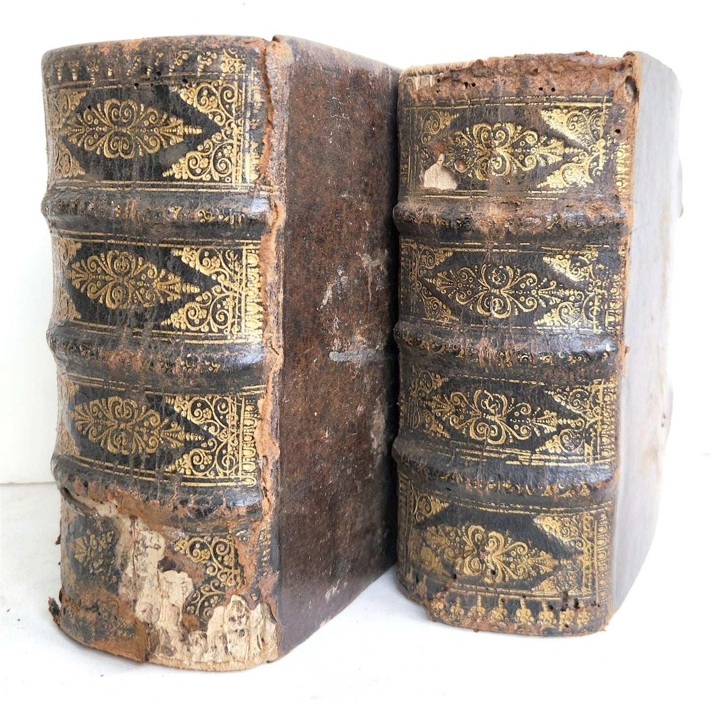 1573 SERMONS by San Vincenzo Ferrreri 2 VOLUMES antique 16th CENTURY in LATIN