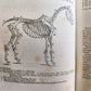 1843 THE HORSE by WILLIAM YOUATT antique ILLUSTRATED