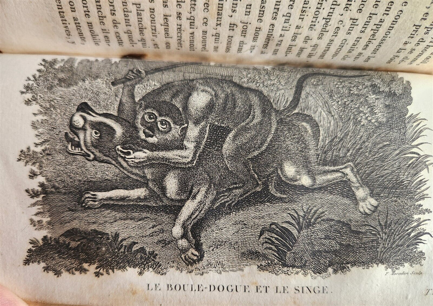 1818 HISTORY of ANIMALS ILLUSTRATED w/ 65 PLATES antique 6 VOLUMES