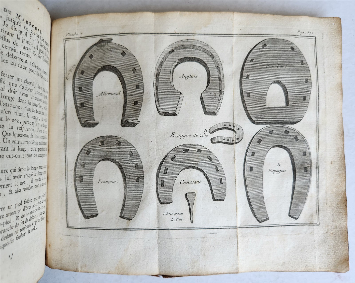 1792 HORSE ANATOMY VETERINARY TREATISE ILLUSTRATED w/ 9 WOODCUTS antique