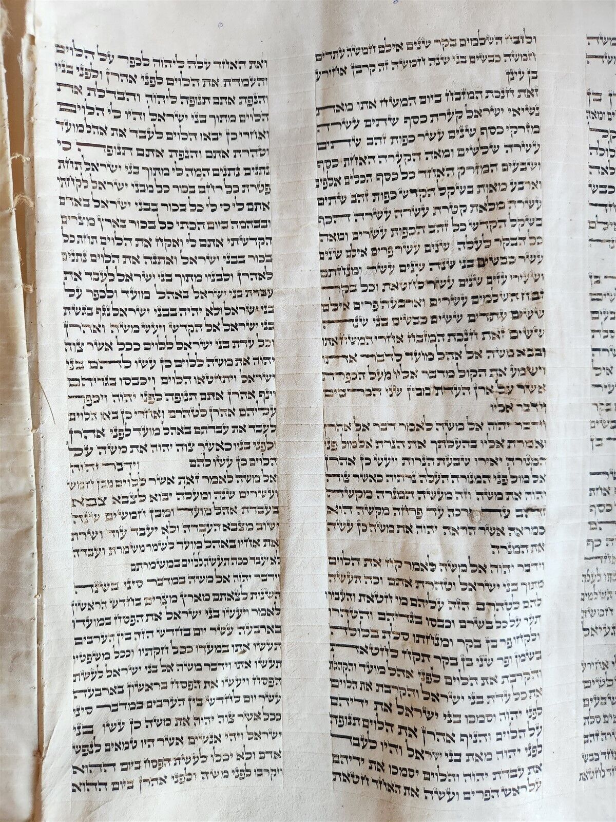 TORAH SCROLL FRAGMENT MANUSCRIPT on VELLUM antique BIBLE NUMBERS 4:39-15:16