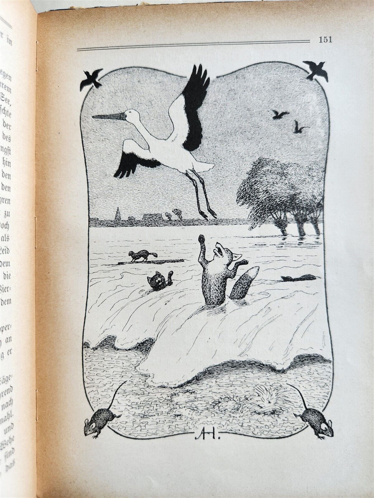 1900s ILLUSTRATED GERMAN CHILDREN BOOK antique FAIRYTALE LAND OF ANIMALS