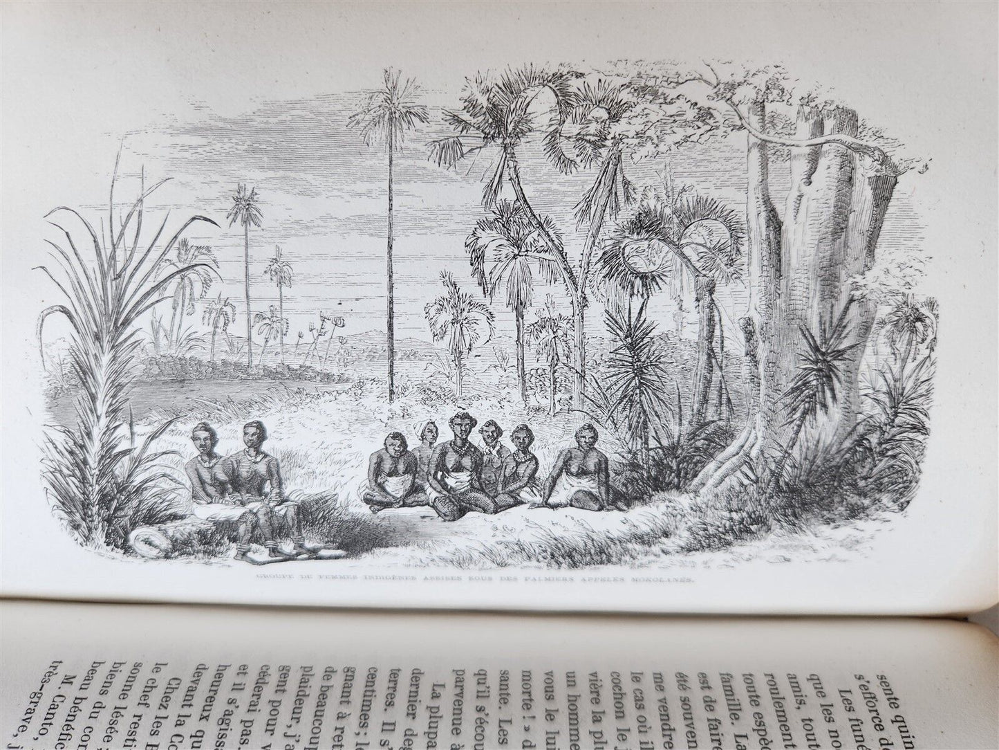 1859 EXPLORATIONS L'AFRIQUE et AUSTRALE LIVINGSTONE VOYAGES antique ILLUSTRATED