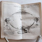 1739 SPECTACLE DE LA NATURE antique ILLUSTRATED w/ ASTRONOMY PLATES & MAPS