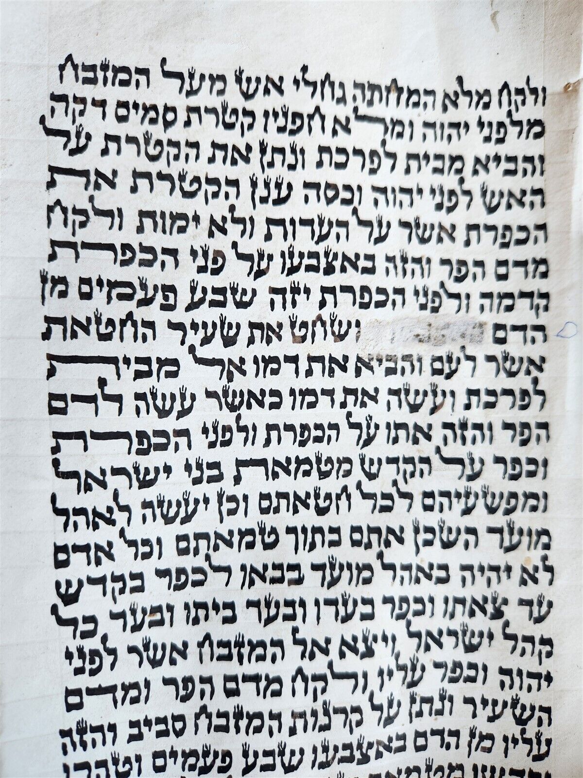 TORAH SCROLL FRAGMENT MANUSCRIPT on VELLUM antique BIBLE LEVITICUS 16:12 - 23:40