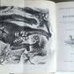 1861 EXPLORATIONS ADVENTURES in EQUATORIAL AFRICA by Chaillu illustrated antique