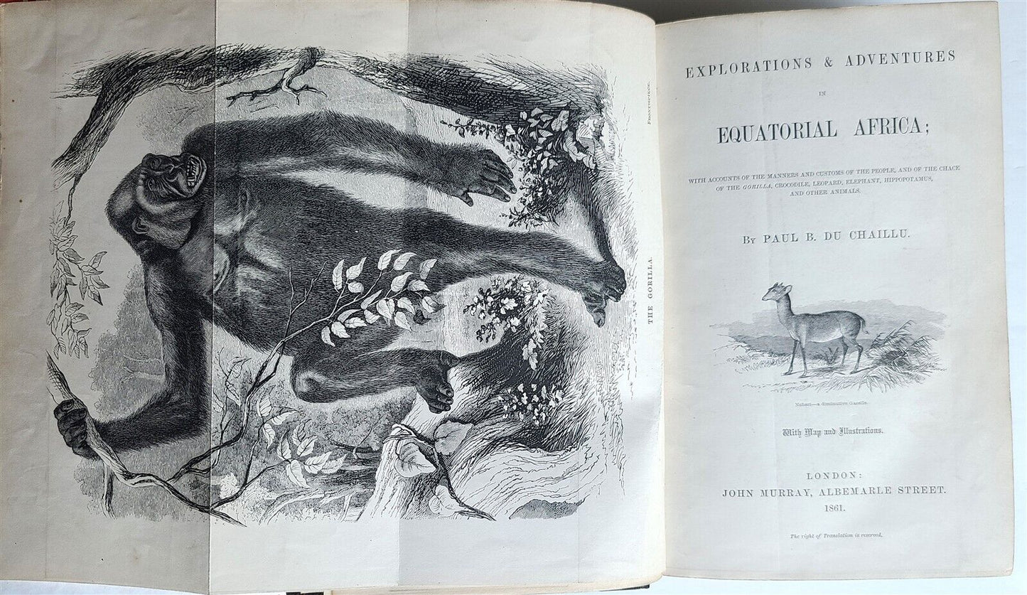 1861 EXPLORATIONS ADVENTURES in EQUATORIAL AFRICA by Chaillu illustrated antique