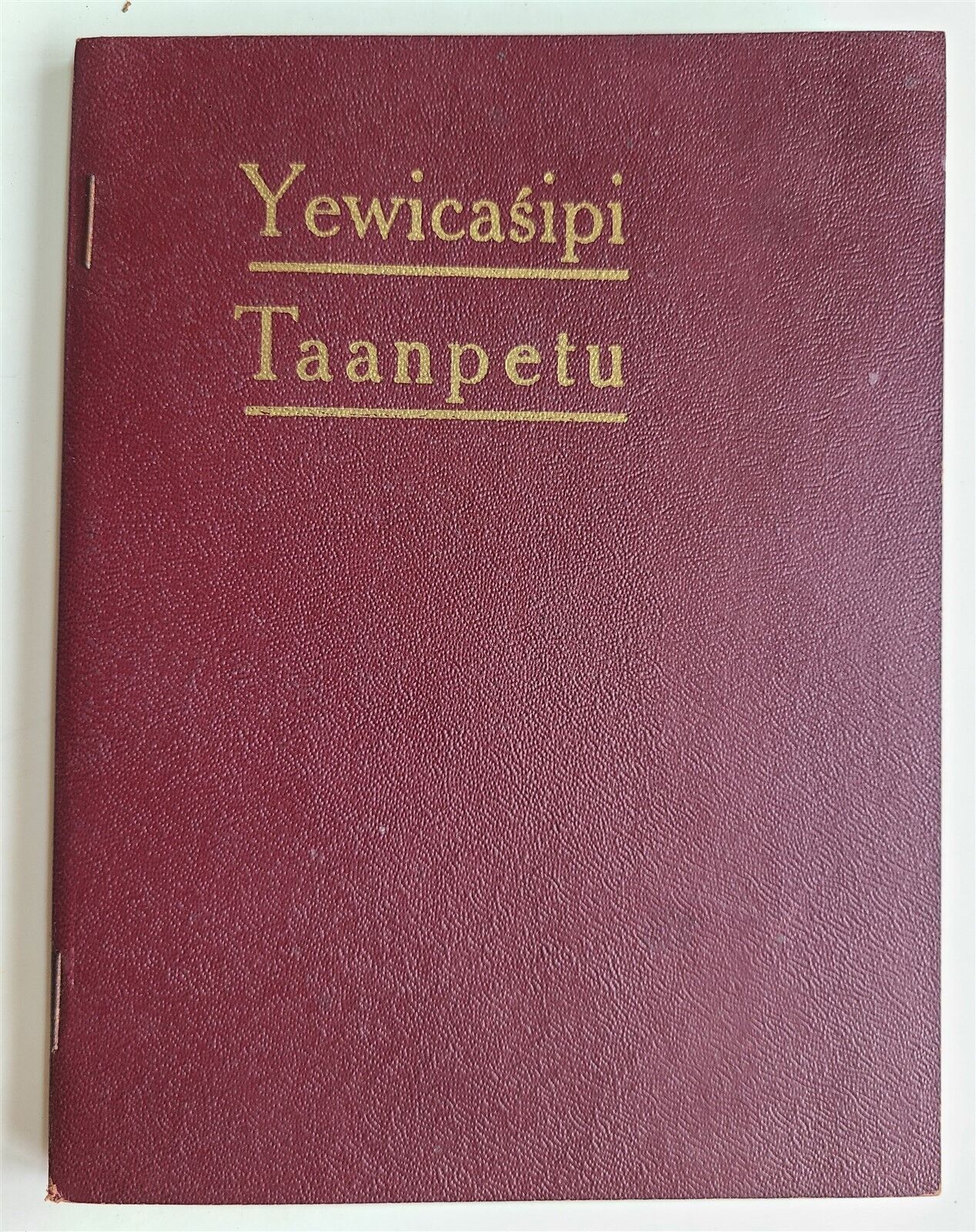 1925 DAKOTA INDIAN LANGUAGE LIFE of ST. PAUL antique AMERICANA ILLUSTRATED MAPS