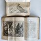 1803-04 EXTRAORDINARY in NATURE ART & HUMAN LIFE 2 VOLUMES antique ILLUSTRATED