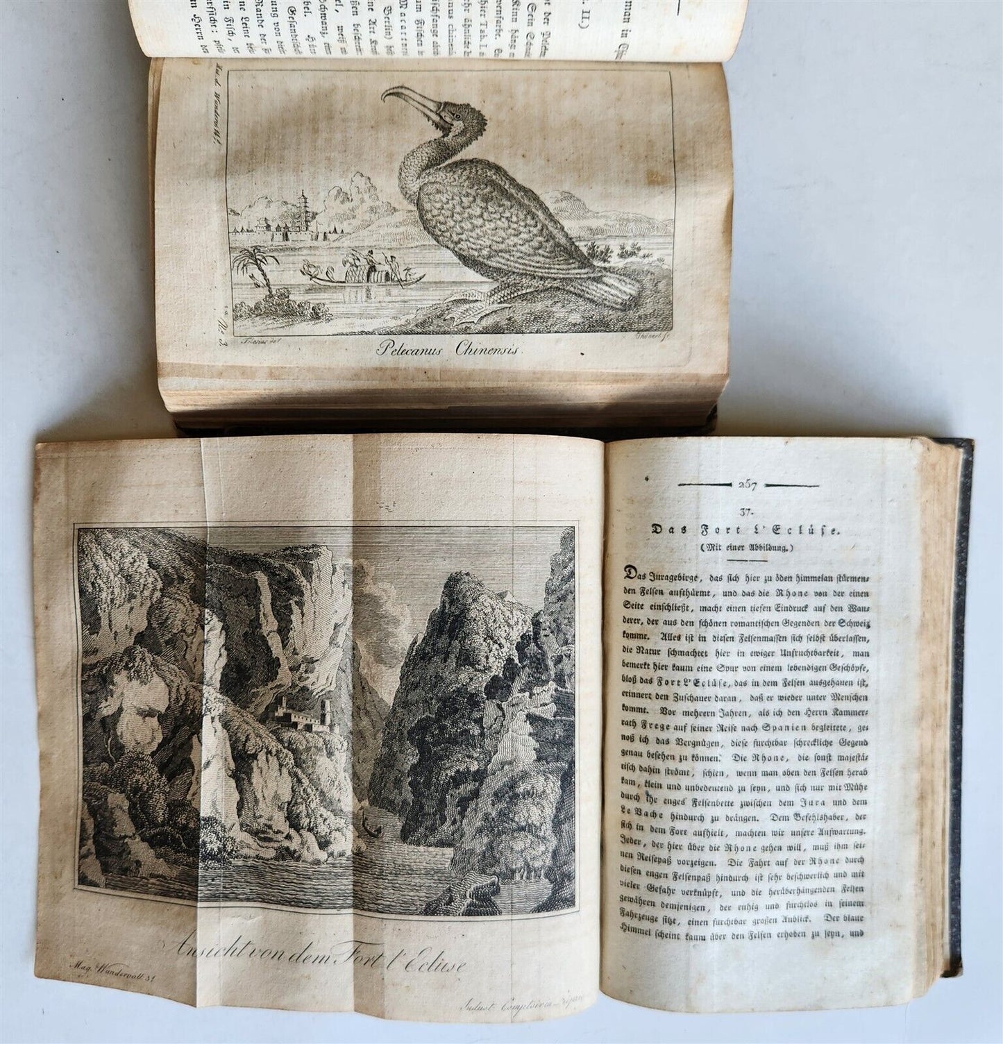 1803-04 EXTRAORDINARY in NATURE ART & HUMAN LIFE 2 VOLUMES antique ILLUSTRATED